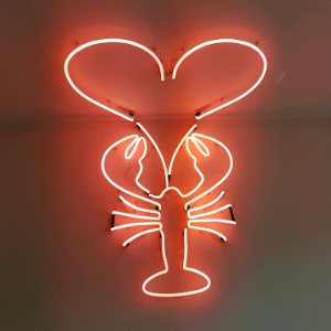 Afbeelding in neon - kreeft - portfolio Afbeelding in neon - kreeft