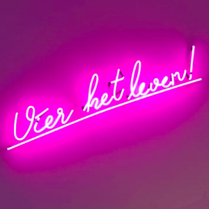Tekst in neon particulier - portfolio Brouwers Reklame